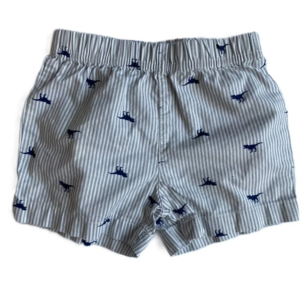6M Boys 4 Item Spring Bundle Dinosaur